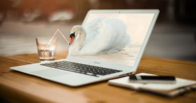 Les animaux AR de Google divertissent les utilisateurs d’Android Les animaux AR de Google divertissent les utilisateurs d’Android