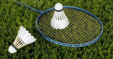 Comment jouer au badminton et s’améliorer rapidement? raquette et volant de badminton