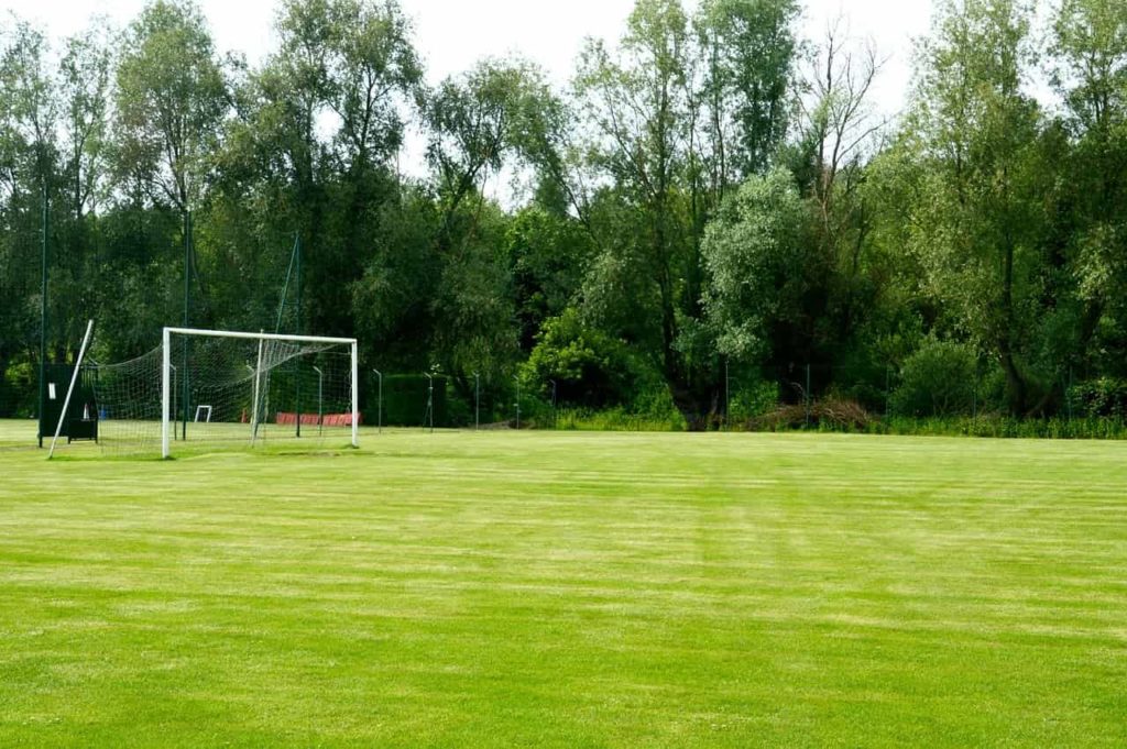 terrain de foot en herbe